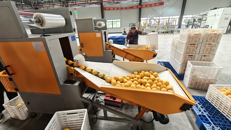 1761897066418070.jpg 微信圖片_20251031143900.jpg